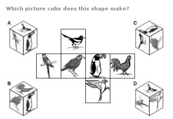 Logical Puzzles Questions and Answers