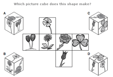 Logical Puzzles Questions and Answers