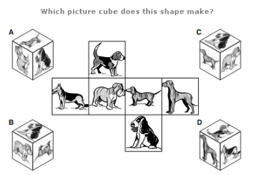 Logical Puzzles Questions and Answers