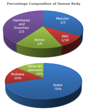 Pie Charts Questions and Answers