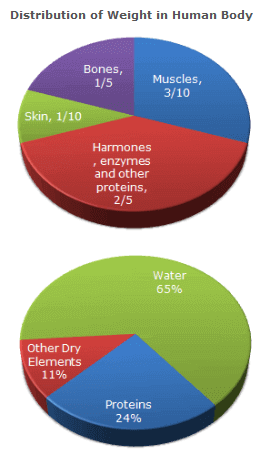 Pie Charts Questions and Answers