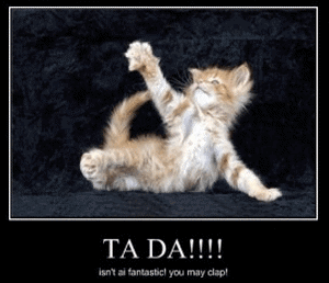 ta-daa cat